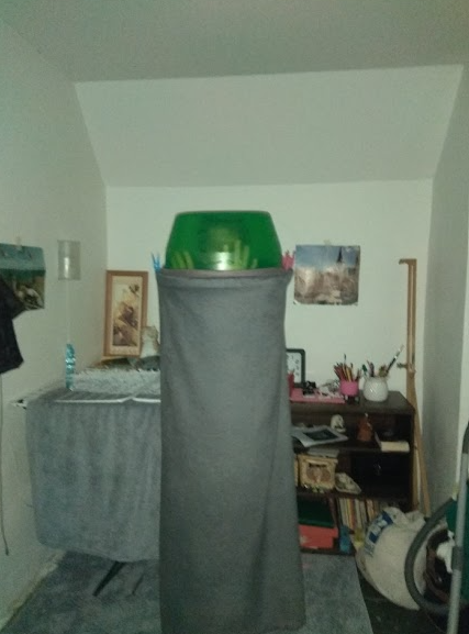 cutepepsyboy's tweet photo. the ufo is coming to kidnapp us all bitch https://t.co/UUaQ2HFtS1