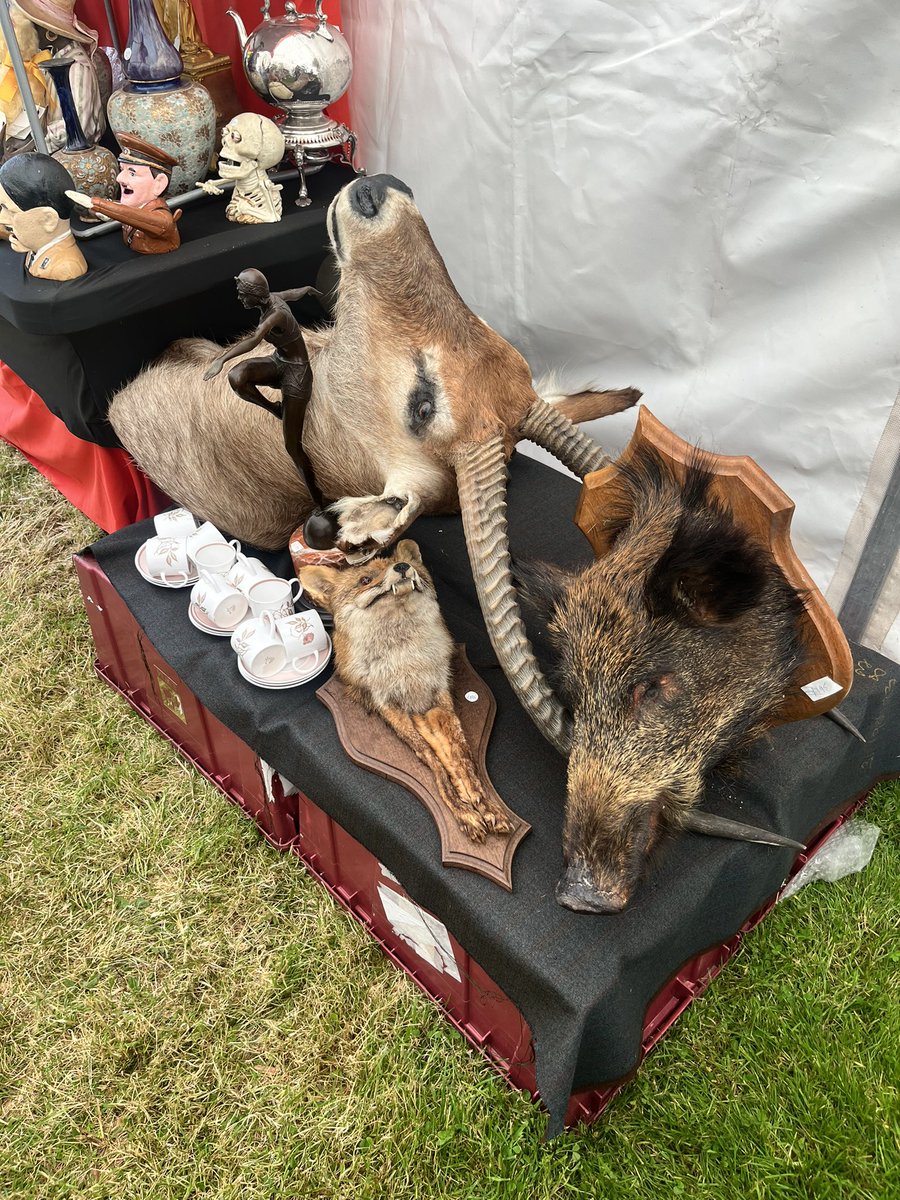 Lou Rogers tweet media