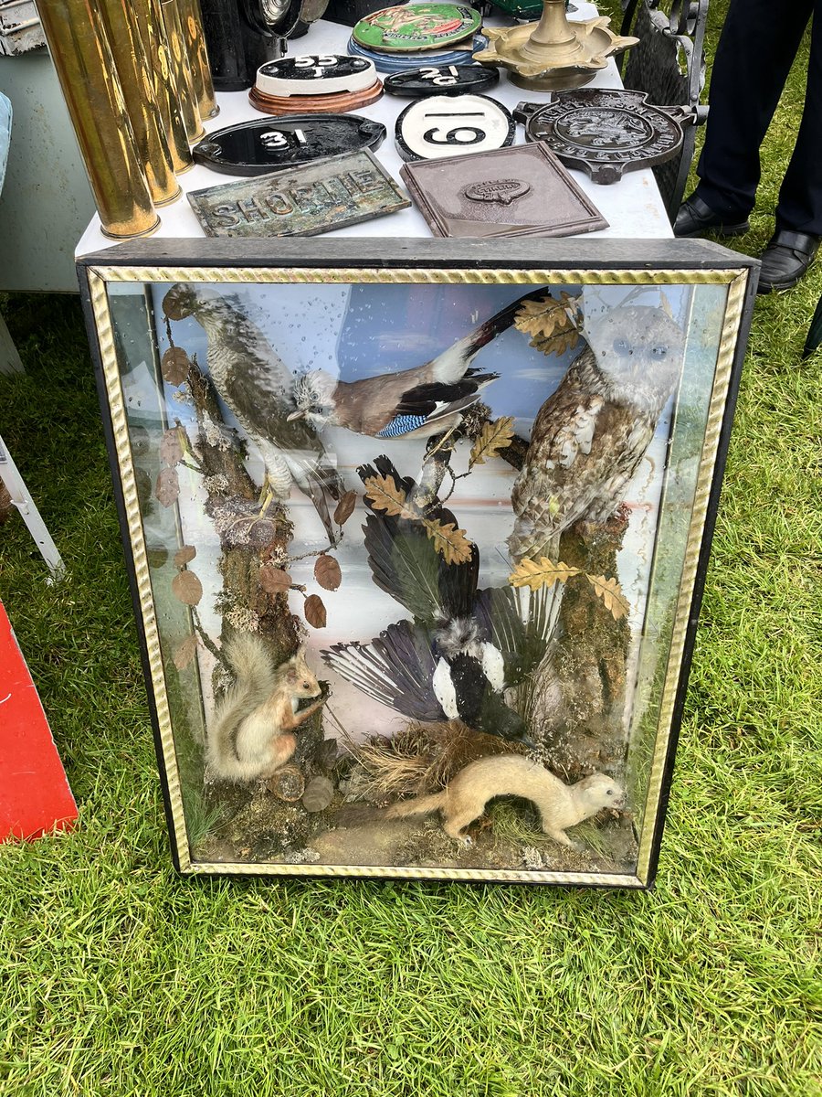 Lou Rogers tweet media