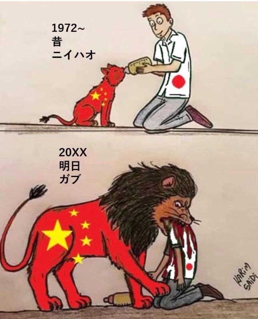 新闻调查 tweet media