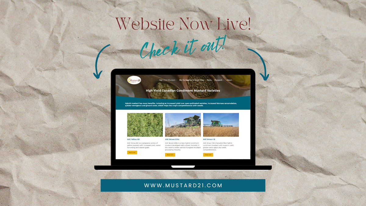 🔥 🔥 NEW WEBSITE LAUNCHED 🔥 🔥 

📌 Find information on all of our new higher yielding mustard varieties, mustard as a cover crop and all of our mustard research! 

🖥️ Visit: mustard21.com

#Mustard #HigherYield #Hybrid