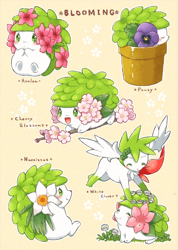 シェイミと春のお花🌸