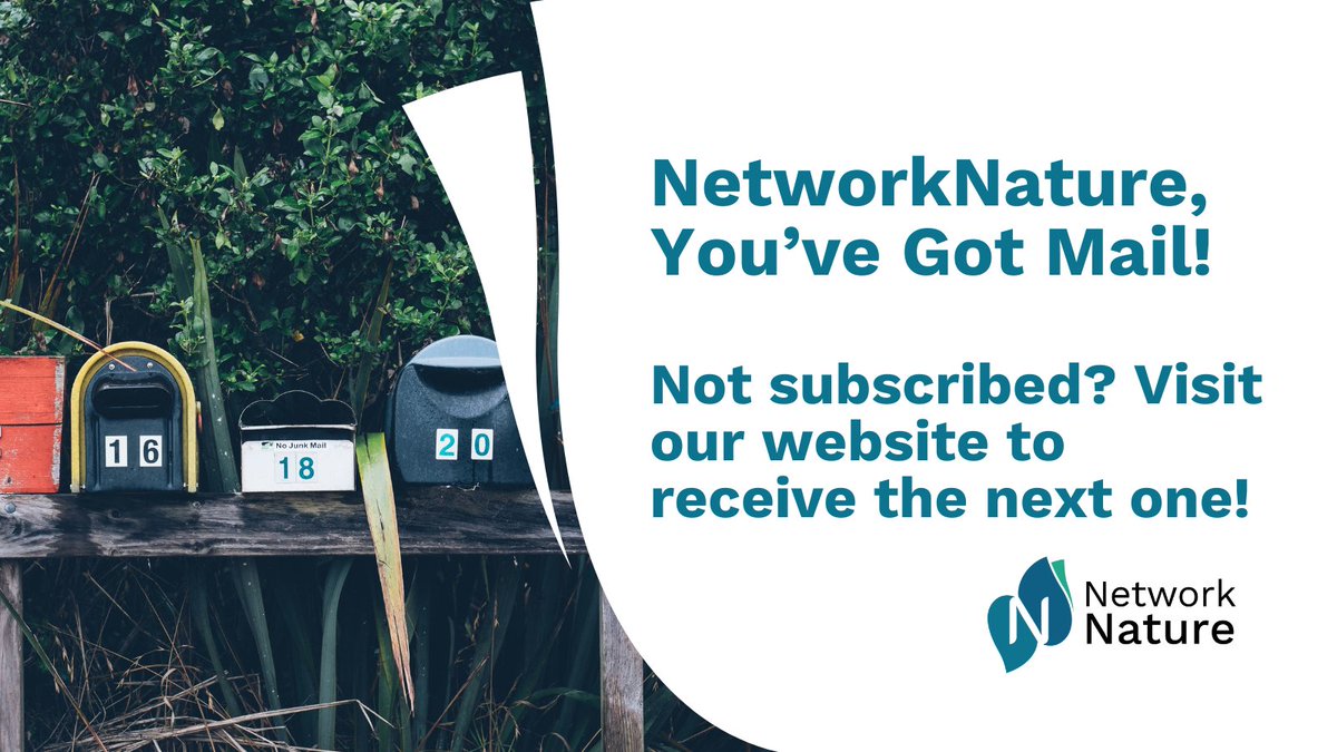 NetworkNatureEU's tweet photo. 📣This just in! The #NetworkNature newsletter has hit the news stands 🗞️ Find it in your local inbox 📬 https://t.co/OUehhfEJu6

Not a subscriber? Visit us online to join 🍄

#naturebasedsolutions #changemakers #sustainability https://t.co/15w23GtZ23