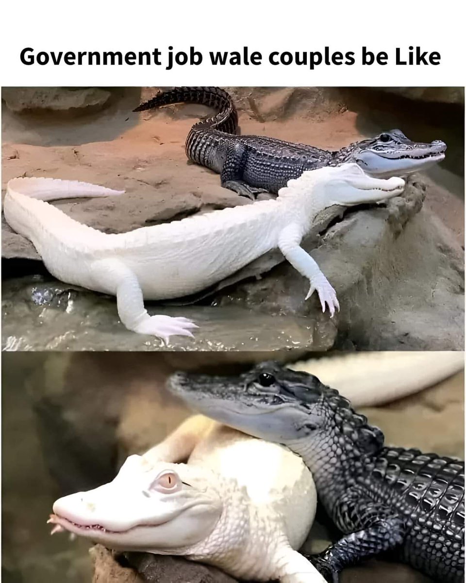 ManodipMali's tweet photo. Sahi Pakde Hai 😂😂 #memepage #memes https://t.co/h1hWJLQ2e6