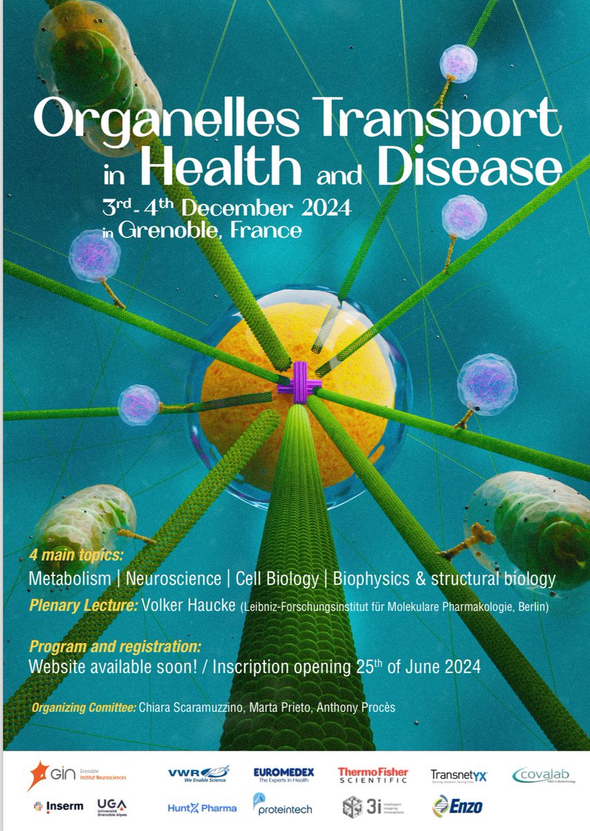 SAVE THE DATE!!! 
We are happy to announce our conference on “Organelles Transport in Health and Disease”! STAY TUNED! #celltransportconf2024 <a href="/AnthonyProcs/">Anthony Procès</a> <a href="/Martapg1992/">Marta</a>