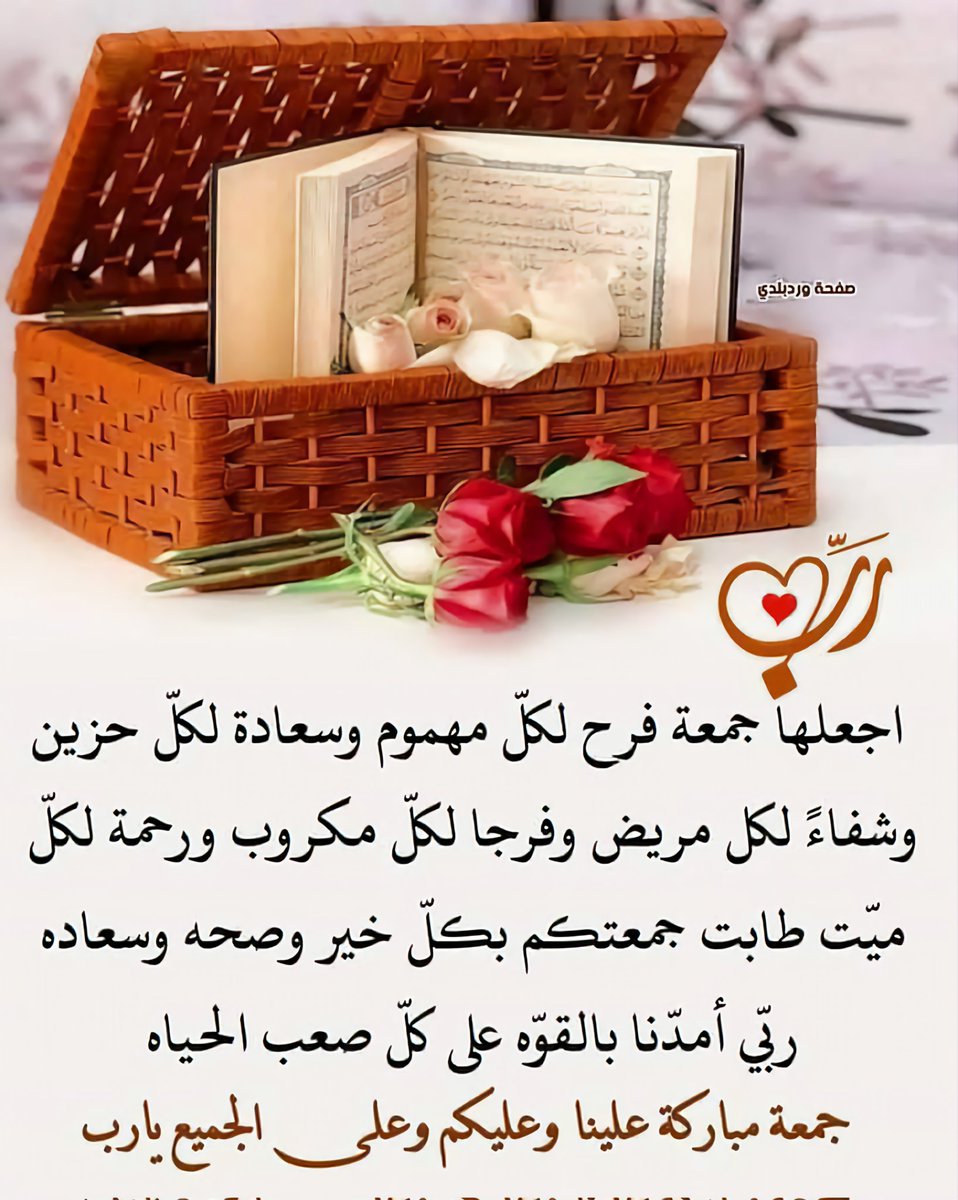 الـنـــايـف tweet media
