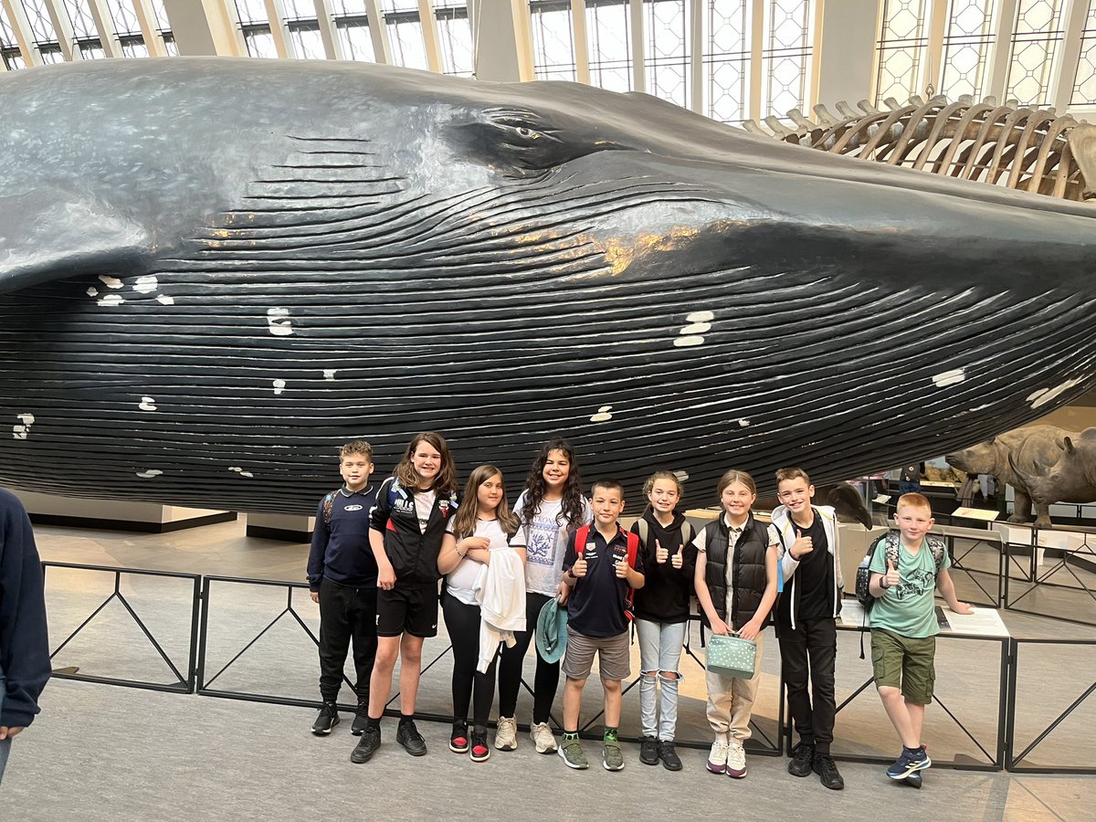 OWPScobras tweet media