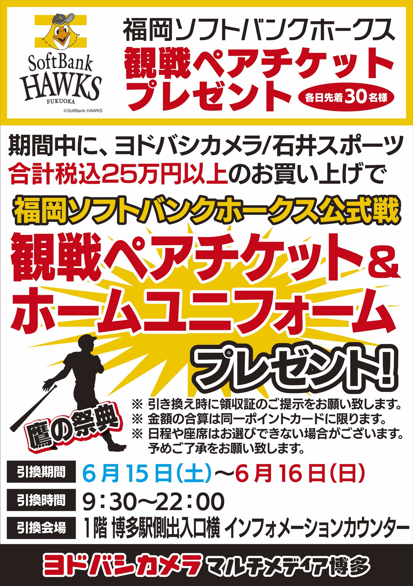 福岡ソフトバンクホークス 6/16 ペアチケット 福岡ソフトバンクホークス 6/16 ペアチケット