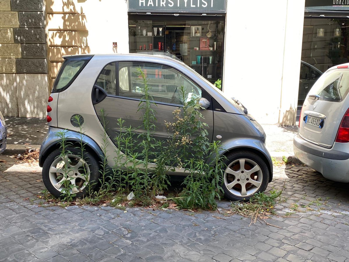 edenictolis tweet media