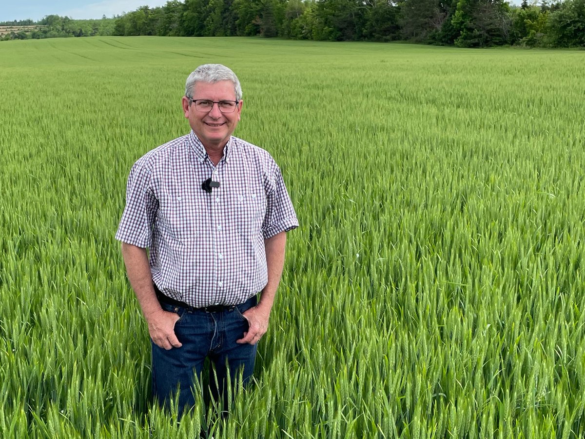Bernard Tobin (@agbern) on Twitter photo A great trip to PEI this week to learn about the success of winter wheat in the Maritimes. Thanks to Eric Richter <a href="/syngentacanada/">Syngenta Canada</a> for sharing a great story on #Wheat School <a href="/realagriculture/">RealAgriculture</a> tinyurl.com/5n6reu7p A great trip to PEI this week to learn about the success of winter wheat in the Maritimes. Thanks to Eric Richter <a href="/syngentacanada/">Syngenta Canada</a> for sharing a great story on #Wheat School <a href="/realagriculture/">RealAgriculture</a> tinyurl.com/5n6reu7p