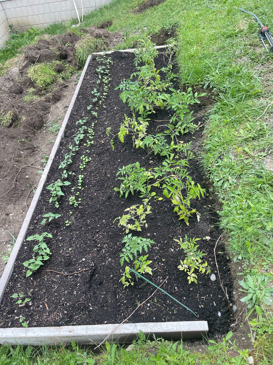 Brock HS has partnered with The Nourish &amp; Develop Foundation, Chimo Youth &amp; Family Services and Brock Community Health Centre to create garden beds and harvest the produce for distribution through our local food bank. 
<a href="/DDSBSchools/">Durham District School Board (DDSB)</a>