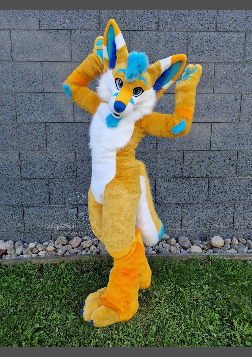 Nightlessfurry's tweet photo. Just completed another fennec, Dero! He is already on his way to Belgium 🇧🇪

Happy #fursuitfriday! 

📸: @KayJayFIN

#furry #fursuit https://t.co/lMAZvaYyJx