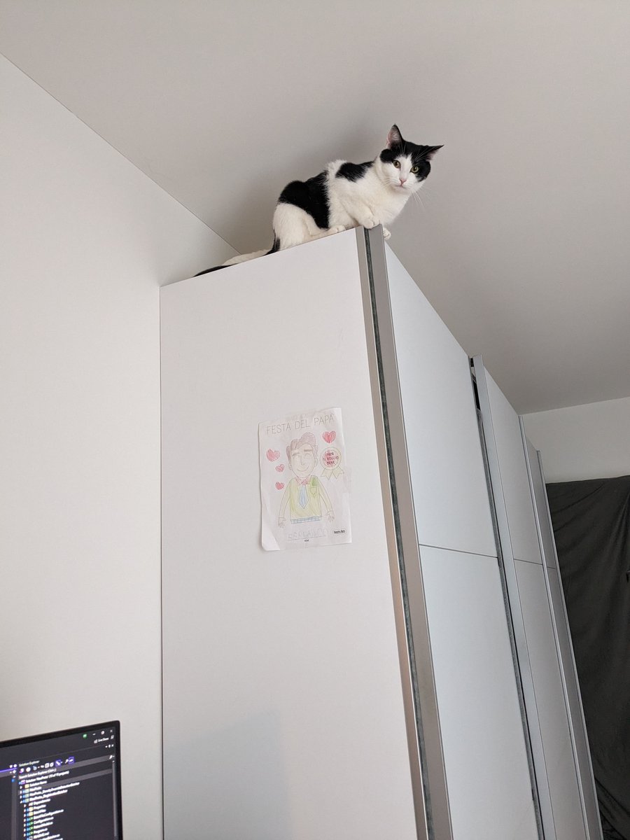 Fernando tweet media