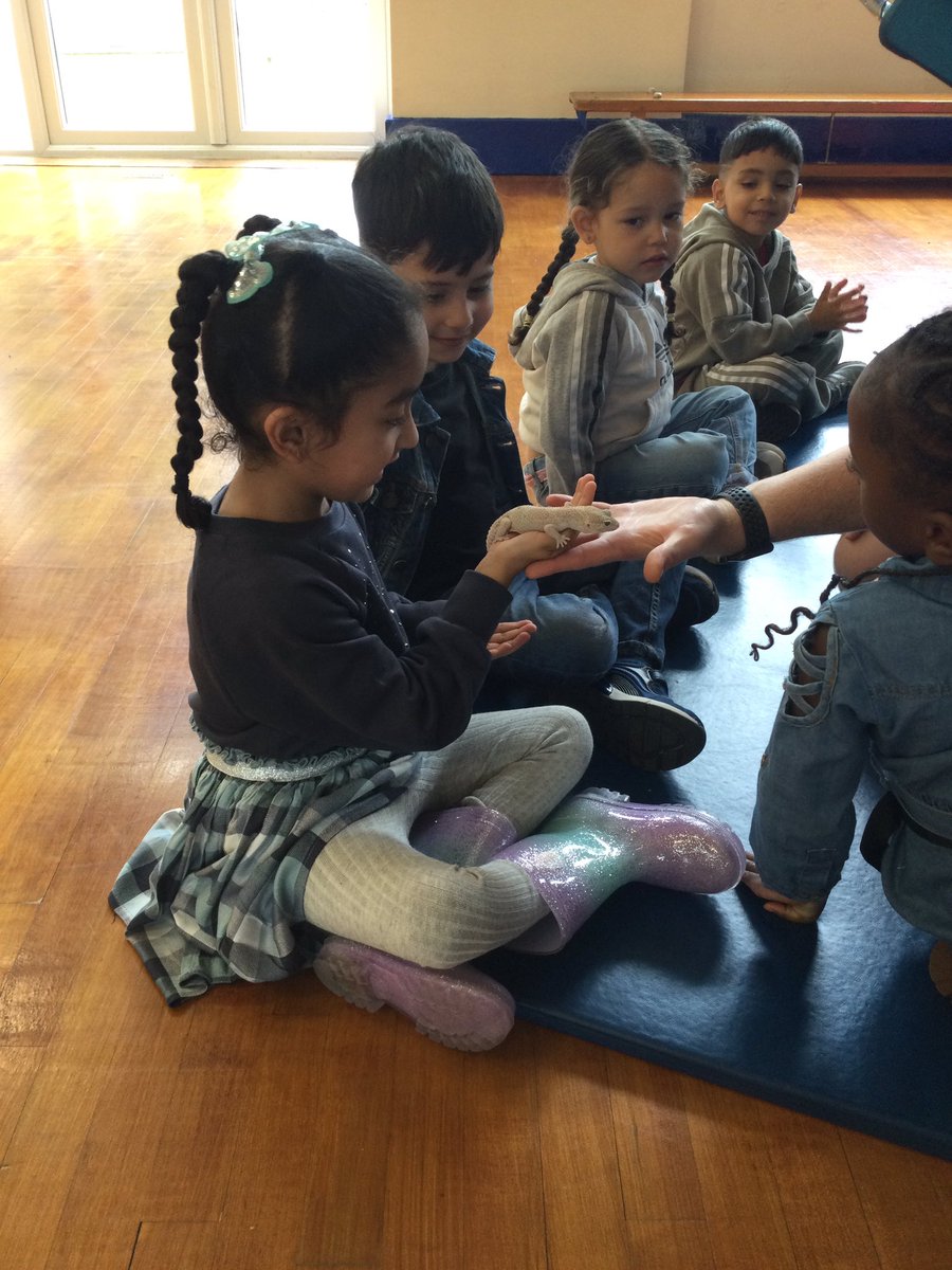 Woden Primary tweet media