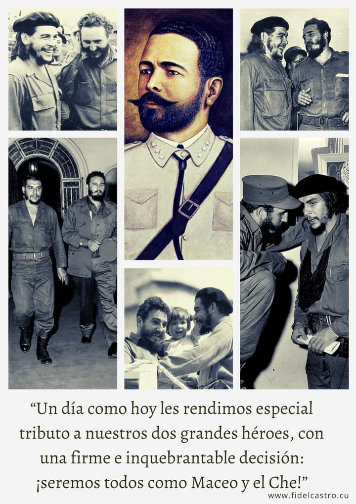 Fidel, Soldado de las Ideas tweet media