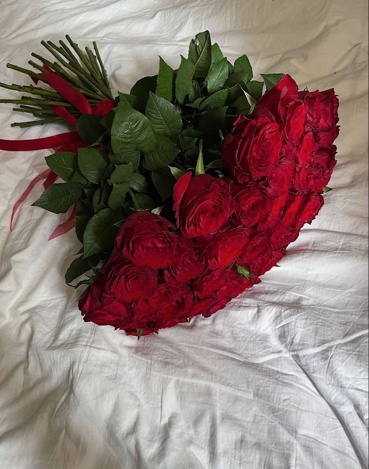 abab19592's tweet photo. @swsw_ali1 كلك ذوووق دموع صامته 
من بعد ابداع من تقول شعر اهلنه تبدع ونحن نقرأ https://t.co/6quZD8l1di