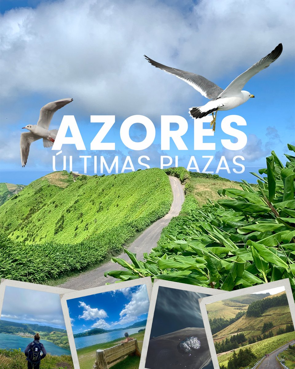 ¡ÚLTIMAS PLAZAS AZORES! 
Un destino ideal para las vacaciones de verano, su clima húmedo y sus temperaturas más suaves permiten descubrir la isla a pie y todos los parajes naturales que ofrece.

Tenemos plazas disponibles para el 07/08 ¡Corre que vuelan! 

bit.ly/3TOv86s