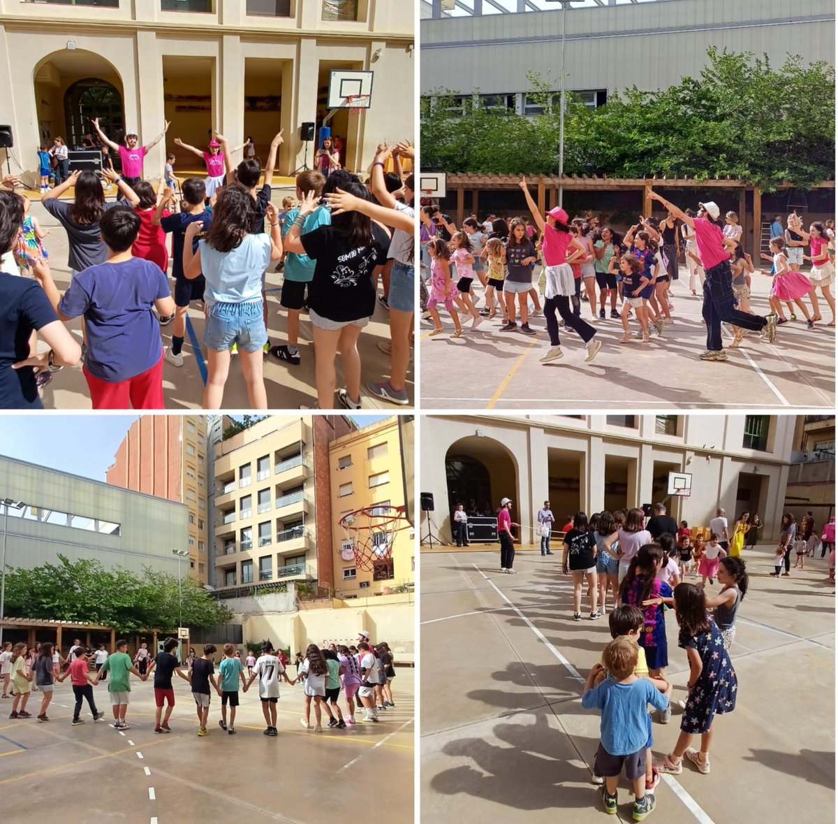 AFA Els Llorers tweet media