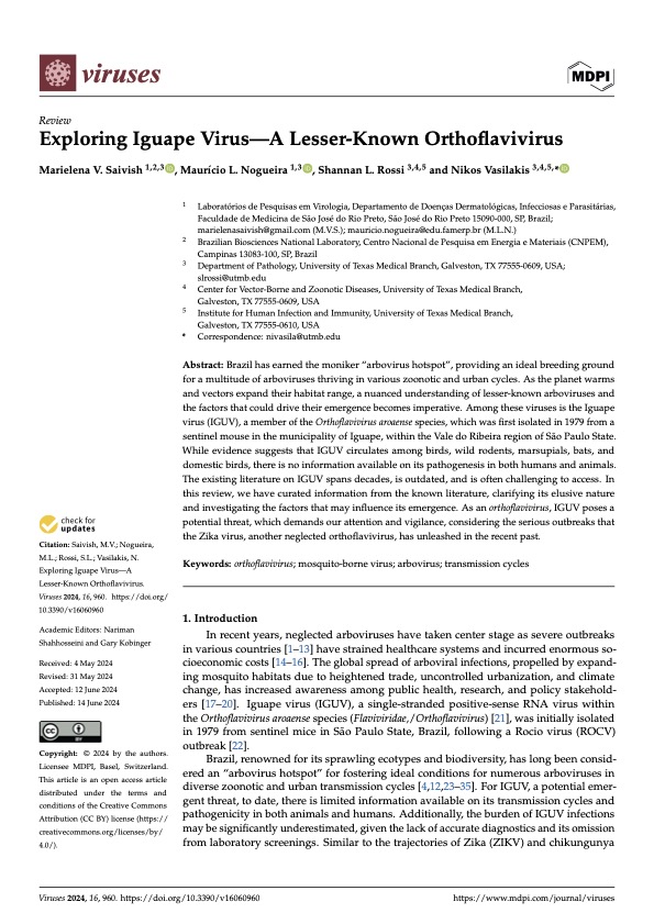 Vasilakis_Lab's tweet photo. Our new manuscript on Iguape virus has just dropped @VirusesMDPI https://t.co/FVrp37jcVU. Another great collaboration with @Virology_FAMERP and @Rossi_viruslab, bringing attention to neglected orthoflaviviruses. @sbviro @ASTMH @create_neo @ACAV_ASTMH @utmbnews @CREID_Network https://t.co/zQiGkSYkVE