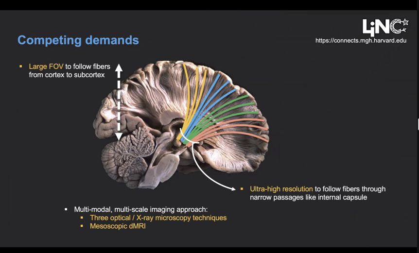 Michael Okun tweet media