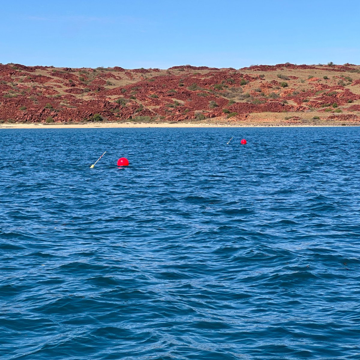 DHSC Project tweet media