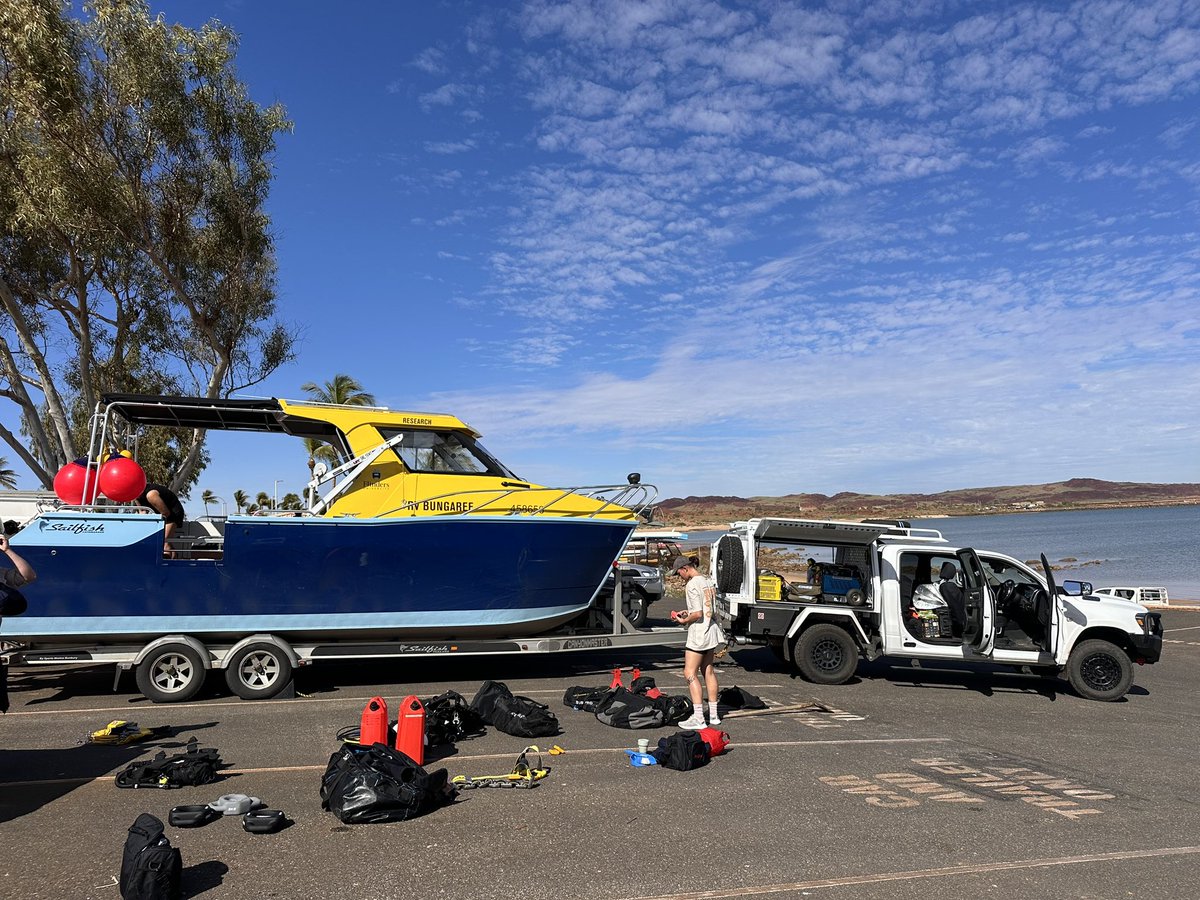 DHSC Project tweet media