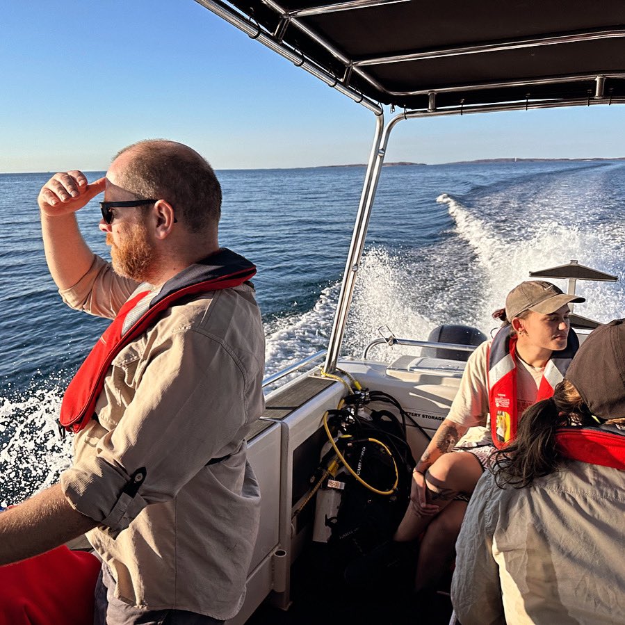 DHSC Project tweet media