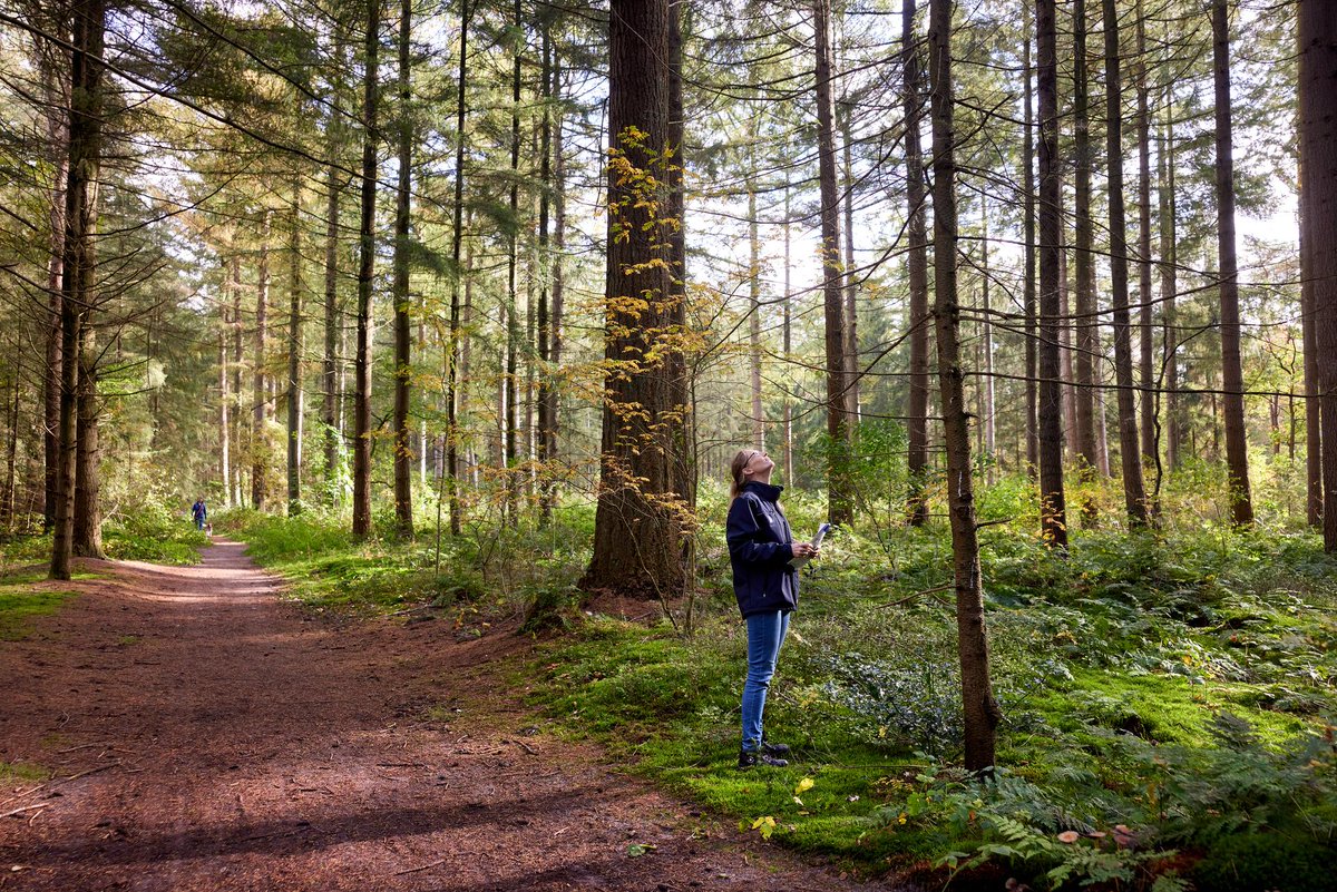 🔔Meer maatregelen nodig voor gezonde natuur. 
 Het huidige stikstofbeleid helpt, maar meer reductie is nodig om de wettelijke doelen te halen. Een nieuw RIVM rapport toont aan dat de natuur nog gevoeliger is voor stikstof. ℹ️ Lees meer: rijksoverheid.nl/ministeries/mi…