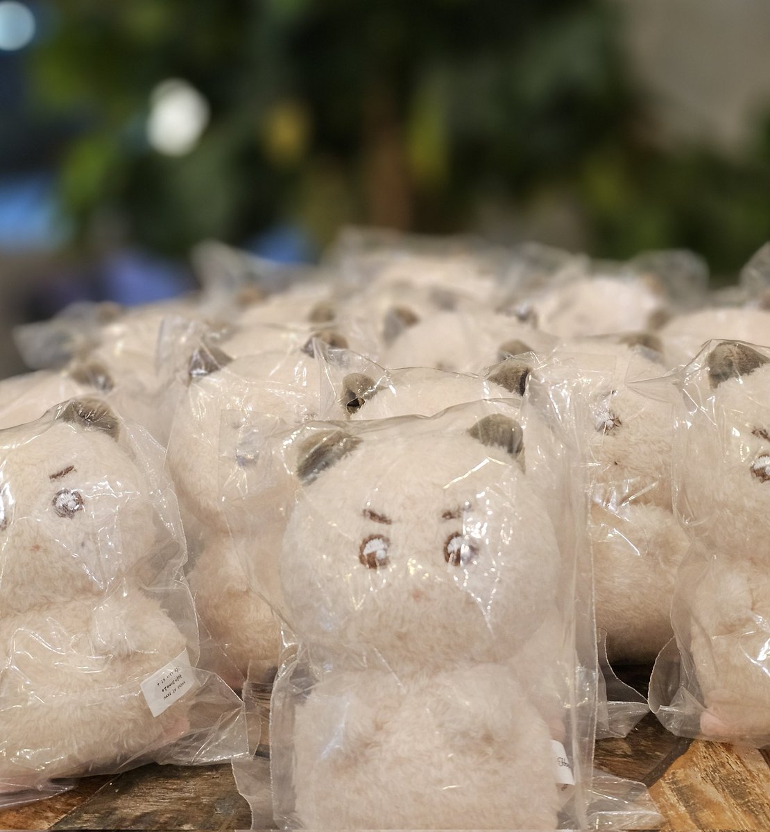 스트레이키즈 한 10cm 인형 "한딱지ver2"  재고판매
🥪기간 : 06.17 pm 09:14 ~ (품절시까지)
🥪구성 : 본체 + 특전
🥪가격 : 16,000 (배송비 별도)

🐹 갑시다 쥐들아!! 🎶

🧹 witchform.com/deposit_form/6…