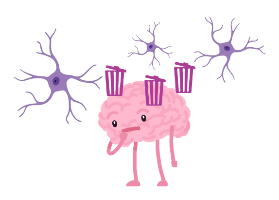 clararomenino's tweet photo. 1/20 🧵🧠I ara que ho preguntes... què en fem de les deixalles cerebrals?
Sóc la Clara Romera Niño, farmacèutica, i estic realitzant la tesi doctoral a la Facultat de Farmàcia de la UB. Acompanya'm per descobrir el paper dels grànuls PAS en la neteja del cervell. #HiloTesis https://t.co/32f5liN6fT