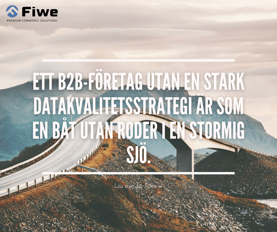 FiweCommerce's tweet photo. Ett B2B-företag utan en stark datakvalitetsstrategi är som en båt utan roder i en stormig sjö. https://t.co/3qGx8sGx9n https://t.co/AeblOEGJgI