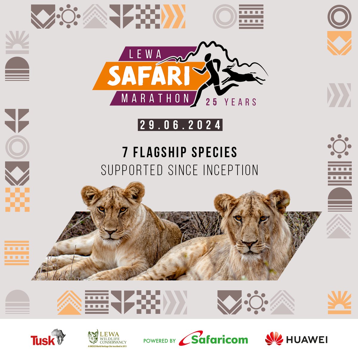 Lewa Wildlife Conservancy is one of the few landscapes in Kenya to have an increasing Grevy’s Zebra foal survival rate, and their conservation efforts have led to an almost 40% increase in black and southern white rhino populations over the last five years! 👏