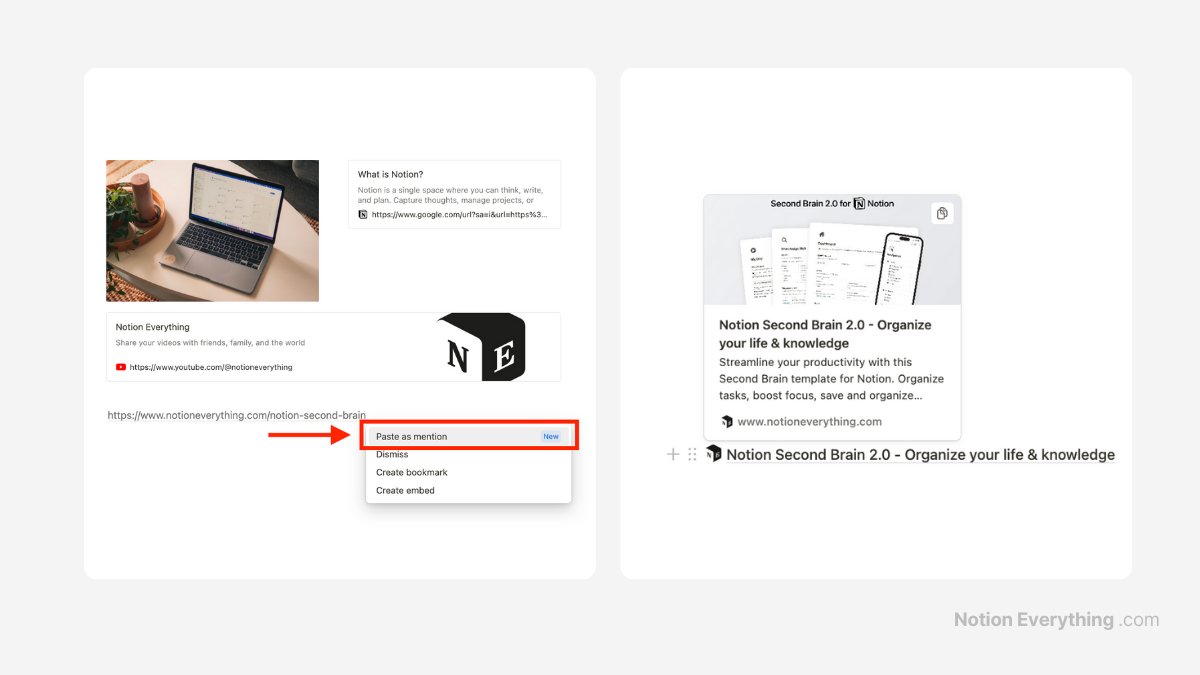 Notion Everything tweet media