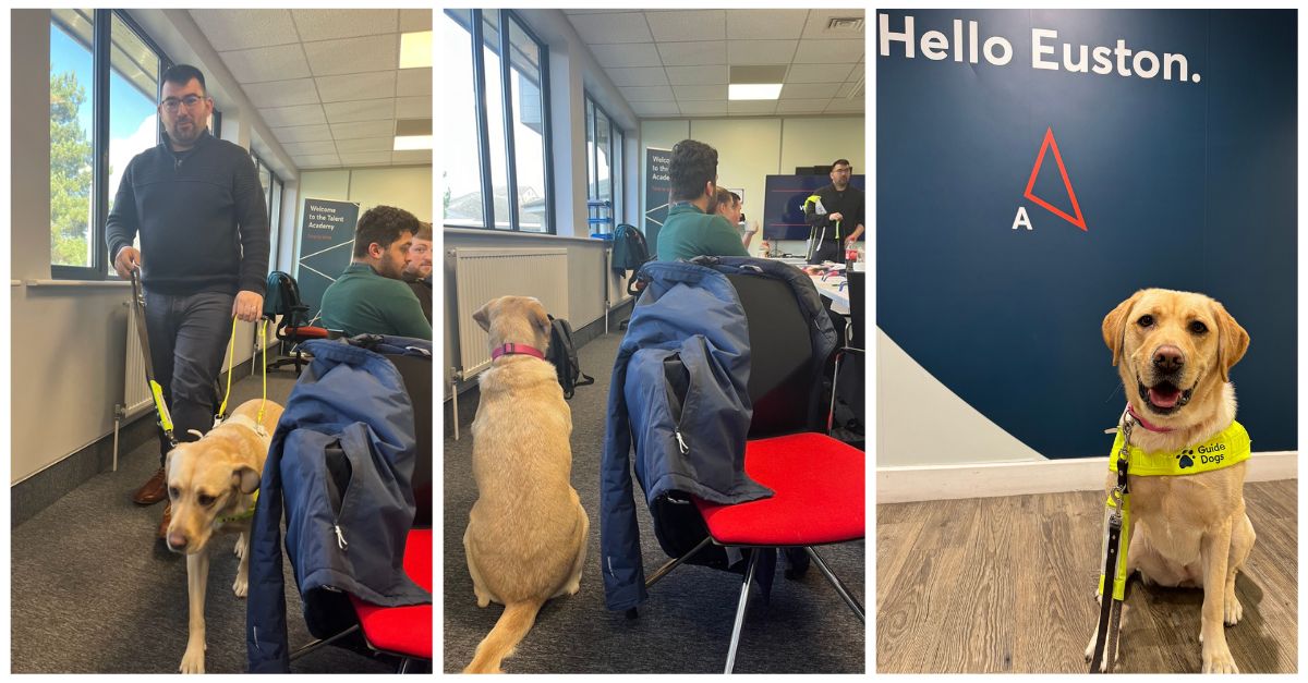 AvantiWestCoast's tweet image. Summer the guide dog loves helping to deliver accessibility training to our staff 😍

#TakeYourDogToWorkDay
@guidedogs
