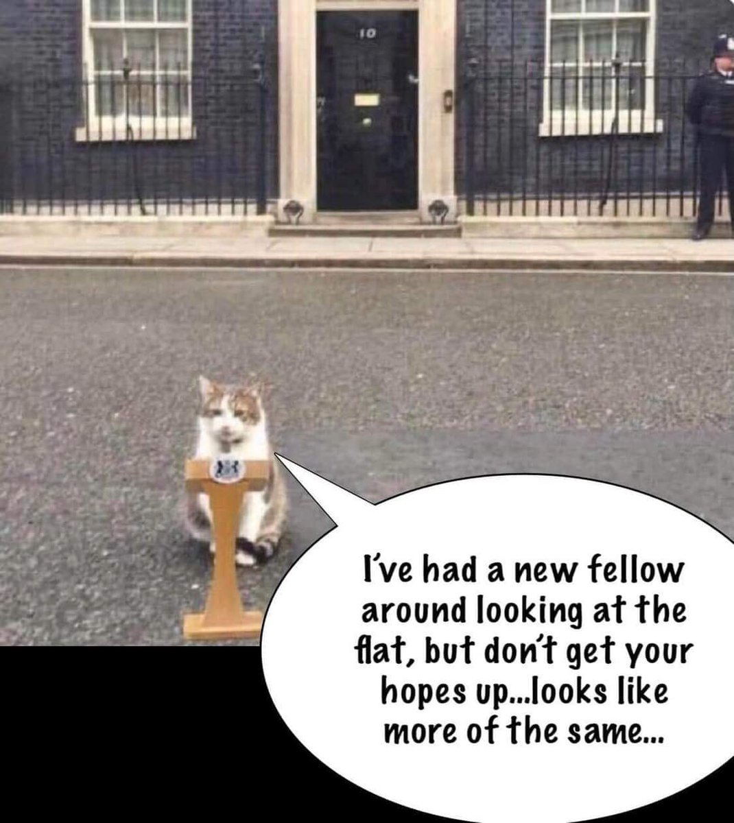 maureen_sharkey's tweet photo. @PickliciousF Get on with your election #Pickle. https://t.co/fSzRi42yUX