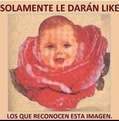 AndresGuzBJ's tweet photo. De donde es esta imagen? https://t.co/w52VObZdAK