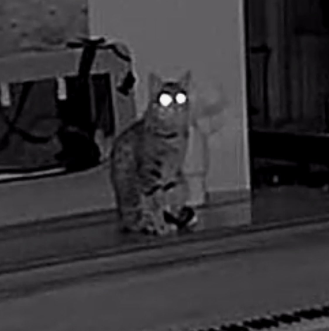 JamesMarriottYT's tweet image. Nice to see Otto’s holding down the fort