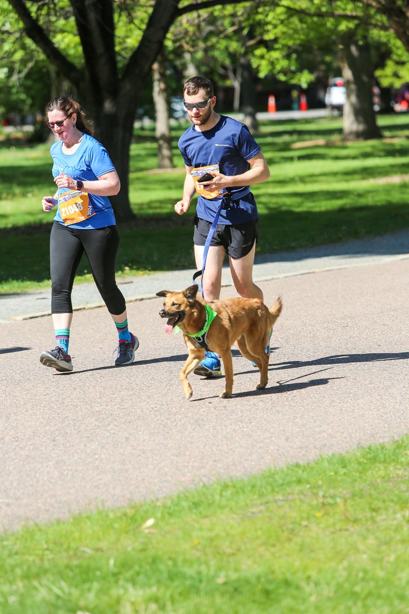 runcolfax's tweet image. Who else runs with their 4 legged friend?!?!

#RunColfax #RunWithDogs #Running