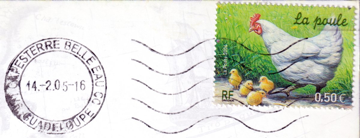 mercipourlacart's tweet photo. Timbre RF, La Poste 2004, Les animaux de la ferme, La poule, 0,50 euro
Voir la carte Guadeloupe - Ti'Marché
https://t.co/KOvhY2gsRg
#timbre #stamp #briefmarke #postzegel #francobollo #sello #selo #марка
#poule #poussins #timbresfrançais #frenchstamps #CapesterreBelleEau https://t.co/XDYpnez08l