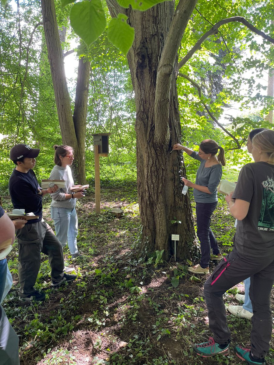 TreePathoMycoLab Freiburg 🧬🌲🌳🍄🪵🦠🧫🔬 tweet media