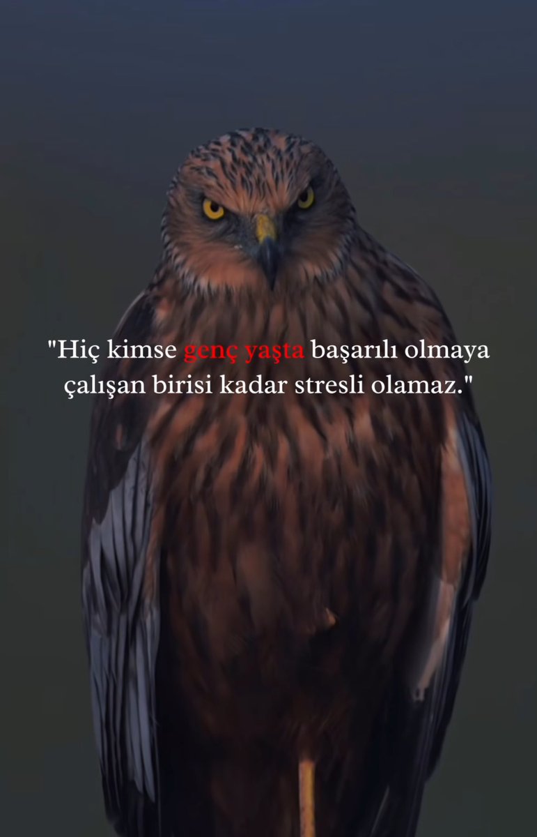 MOTİVASYON (@derinbirneffess) on Twitter photo 