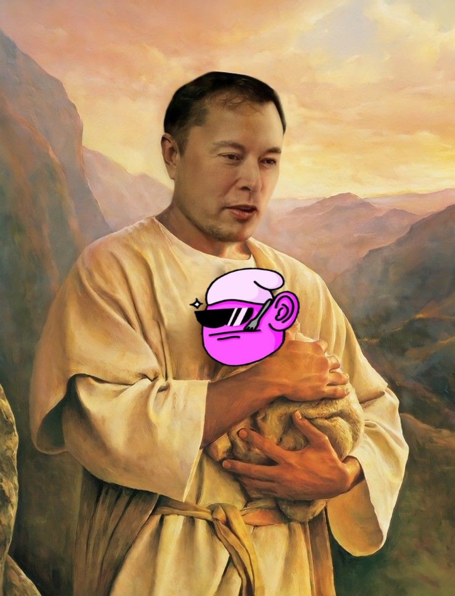 smorksol's tweet photo. @cb_doge Smork has no doubt https://t.co/WtQs5q4AFP