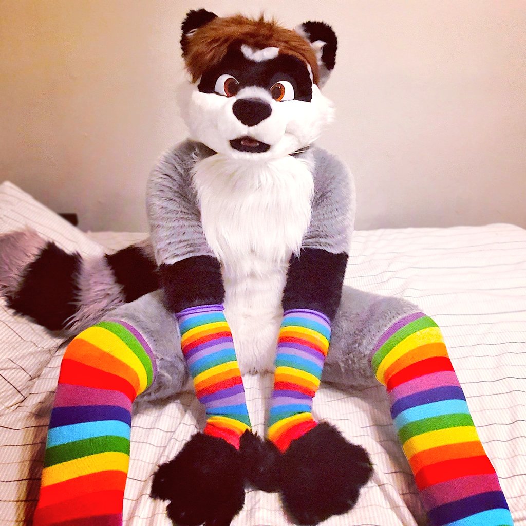 Indycoone's tweet image. Happy Pride Month everyone! ๐ณ๏ธโ๐
#PrideMonth #Gay #Raccoon #pride #FursuitFriday
๐ท: @RitchieFaux
โ๏ธ: @FursuitsByLacy
