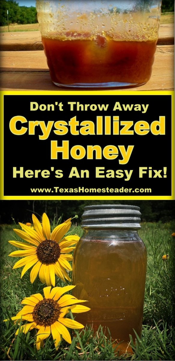 Tx_Homesteader's tweet photo. Sooner or later that delicious honey will crystallize. Is it ruined?

Don’t throw it away! I'm sharing several ways to restore crystallized honey to the smooth sweetness you love. https://t.co/x5eInQpTR5 
.
.
#TexasHomesteader #Honey #Healthy #HomesteadHack https://t.co/jdNtJPQSd2