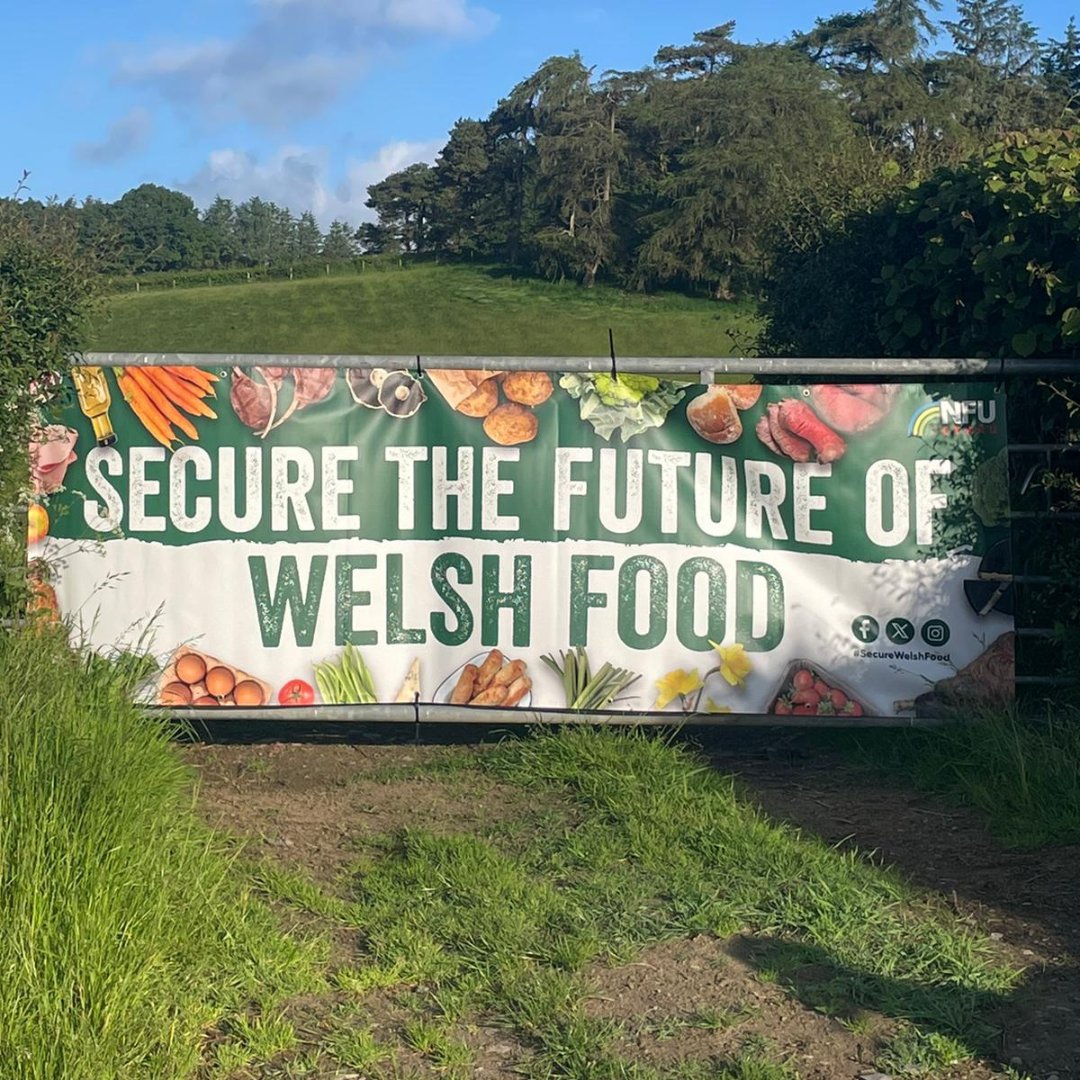 Who has seen these banners popping up across Wales?
Pwy sydd wedi gweld ein baneri ar draws Cymru?

Help us to Secure the Future of Welsh Food 
Helpwch ni i Ddiogelu Dyfodol Bwyd Cymru

Sign our petition today➡️ow.ly/Qrle50SiOFT

#SecureWelshFood #DiogeluBwydCymru