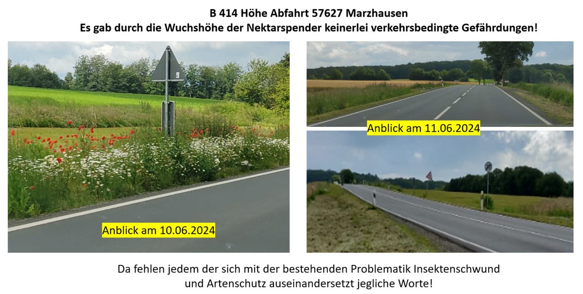 Oliver B. (@buningo) on Twitter photo 