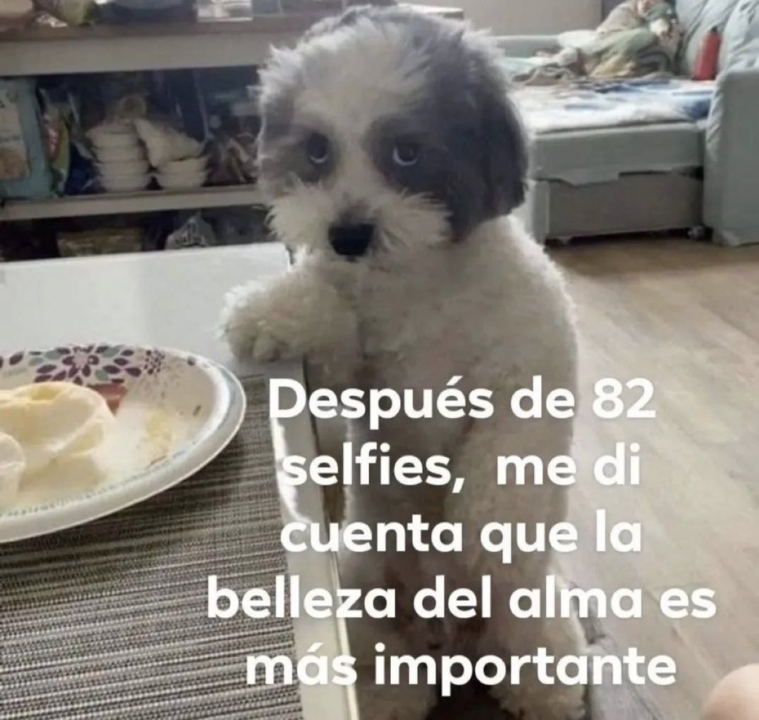 piña sin pizza (@skereunpesado) on Twitter photo 