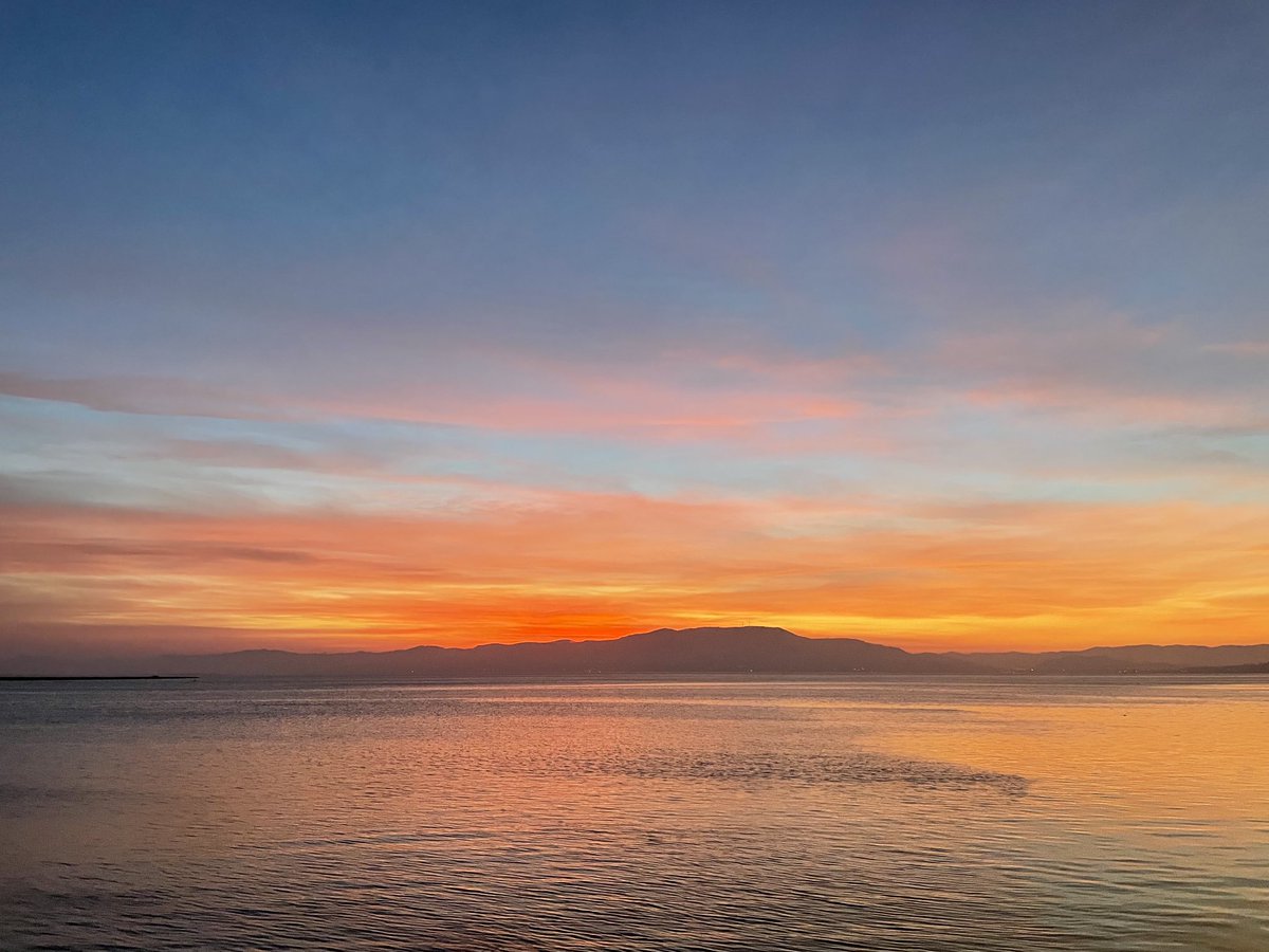 Ed Garrett tweet media