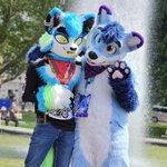 Photo by Kasco | @kasco.bsky.social (@FoxKasco)