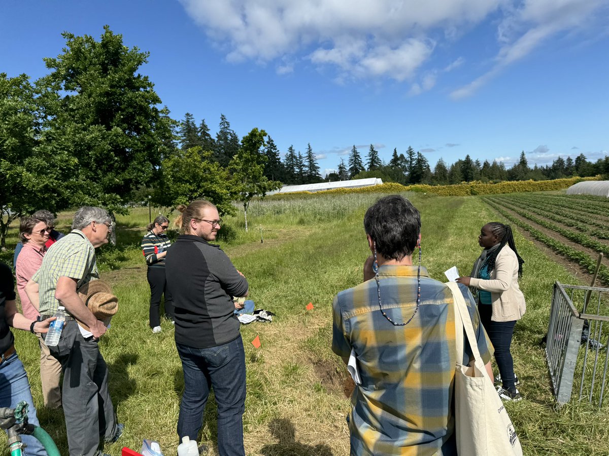 Dr. Raquel Portes (@raquelportesgeo) on Twitter photo Amazing diversified crop production on Podzols formed on outwash deposits at the <a href="/UBC/">University of British Columbia</a> Farm. This pic: Ap, Bf, Cg on compacted glacial till. Many thanks to <a href="/SandraBrownSoil/">Sandra Brown</a> and Sylvia Nyamaizi to show us this beauty! #soil #food #sustainability Amazing diversified crop production on Podzols formed on outwash deposits at the <a href="/UBC/">University of British Columbia</a> Farm. This pic: Ap, Bf, Cg on compacted glacial till. Many thanks to <a href="/SandraBrownSoil/">Sandra Brown</a> and Sylvia Nyamaizi to show us this beauty! #soil #food #sustainability
